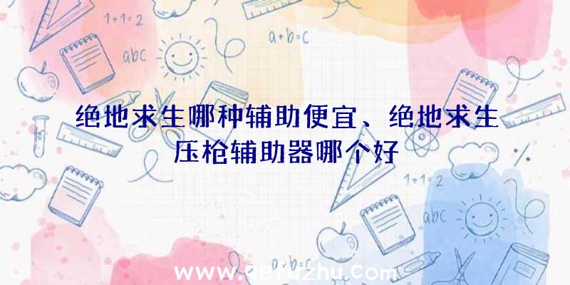 绝地求生哪种辅助便宜、绝地求生压枪辅助器哪个好