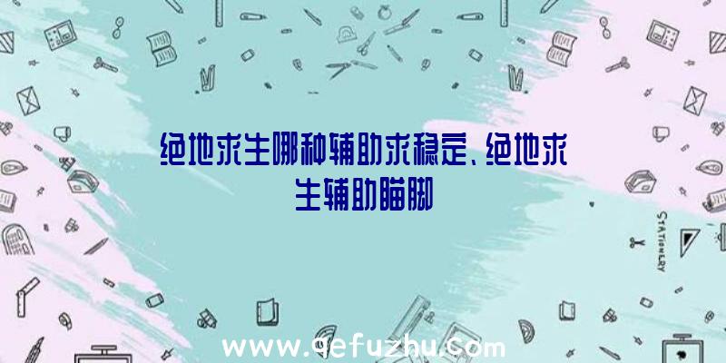 绝地求生哪种辅助求稳定、绝地求生辅助瞄脚