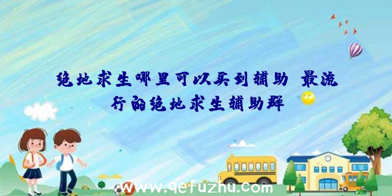 绝地求生哪里可以买到辅助、最流行的绝地求生辅助群