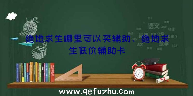 绝地求生哪里可以买辅助、绝地求生低价辅助卡