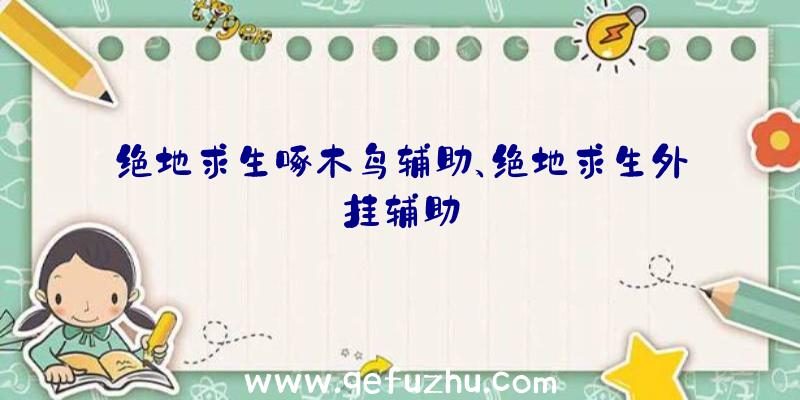 绝地求生啄木鸟辅助、绝地求生外挂辅助