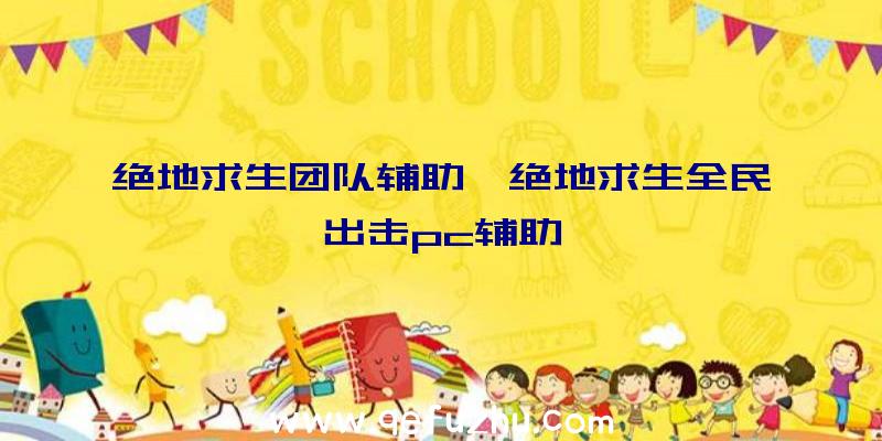 绝地求生团队辅助、绝地求生全民出击pc辅助