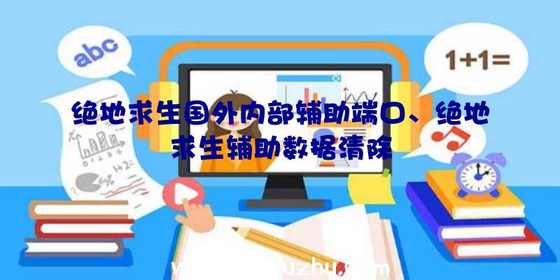 绝地求生国外内部辅助端口、绝地求生辅助数据清除