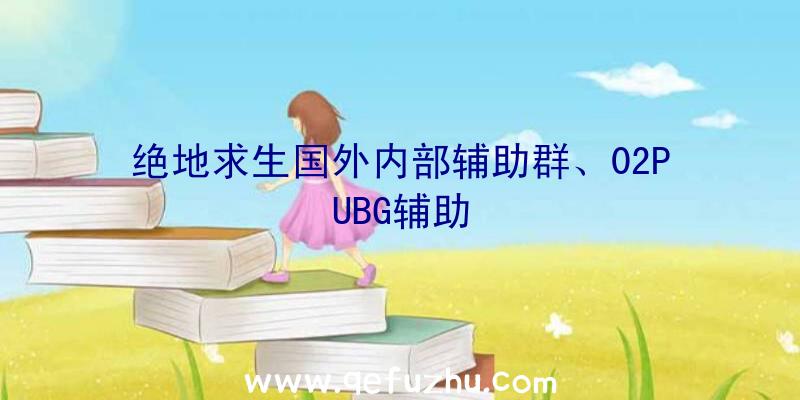 绝地求生国外内部辅助群、02PUBG辅助