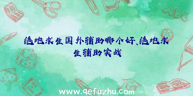 绝地求生国外辅助哪个好、绝地求生辅助实战