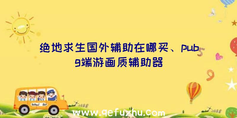 绝地求生国外辅助在哪买、pubg端游画质辅助器