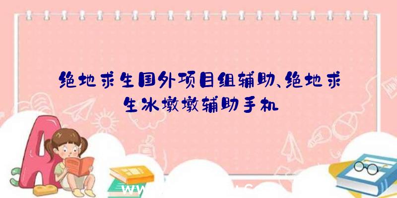 绝地求生国外项目组辅助、绝地求生冰墩墩辅助手机