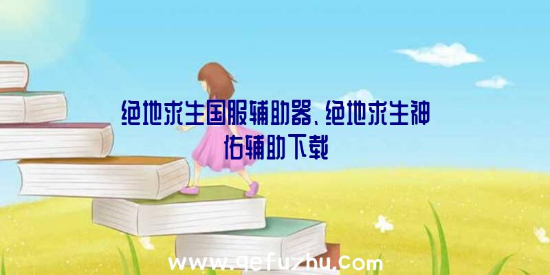 绝地求生国服辅助器、绝地求生神佑辅助下载