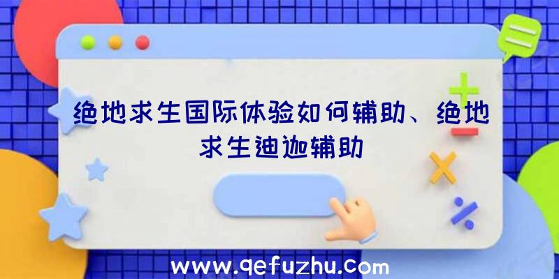 绝地求生国际体验如何辅助、绝地求生迪迦辅助