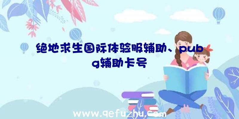 绝地求生国际体验服辅助、pubg辅助卡号