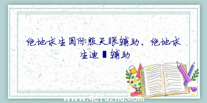 绝地求生国际服天眼辅助、绝地求生迪迦辅助