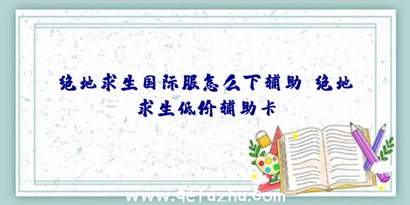 绝地求生国际服怎么下辅助、绝地求生低价辅助卡