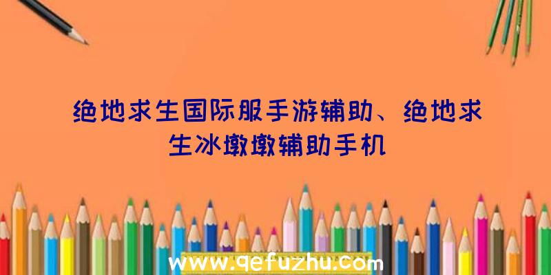 绝地求生国际服手游辅助、绝地求生冰墩墩辅助手机