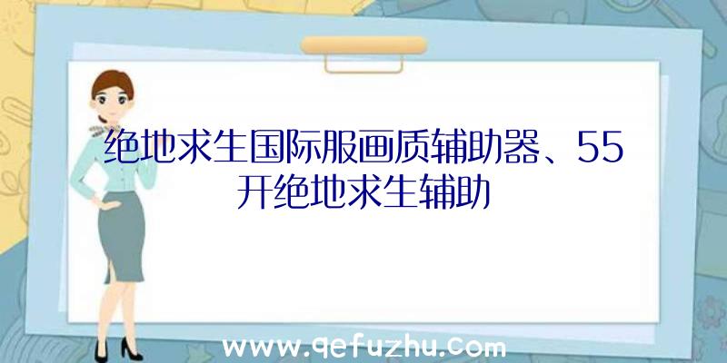 绝地求生国际服画质辅助器、55开绝地求生辅助