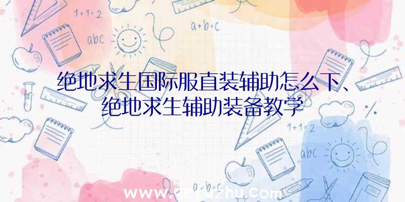 绝地求生国际服直装辅助怎么下、绝地求生辅助装备教学