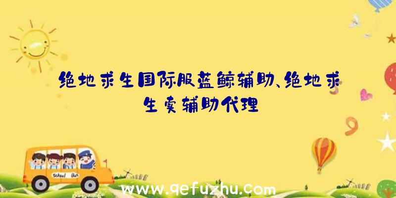 绝地求生国际服蓝鲸辅助、绝地求生卖辅助代理