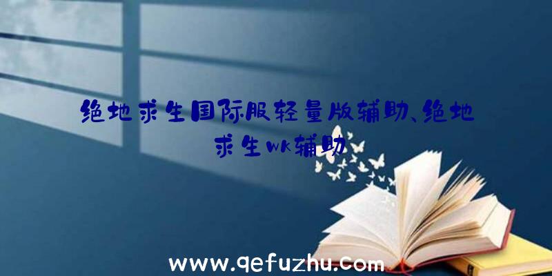 绝地求生国际服轻量版辅助、绝地求生wk辅助