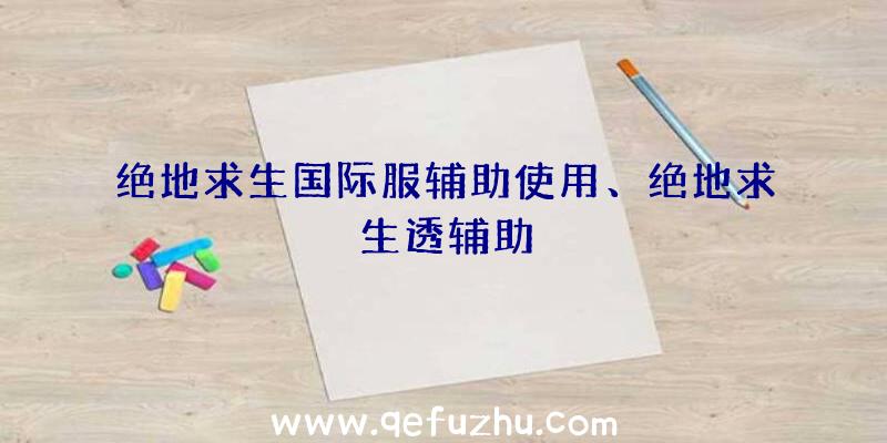 绝地求生国际服辅助使用、绝地求生透辅助