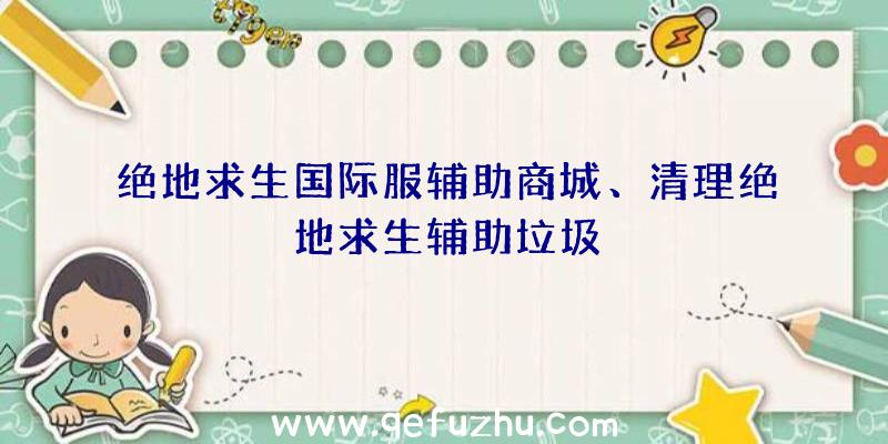 绝地求生国际服辅助商城、清理绝地求生辅助垃圾