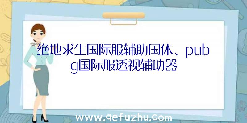 绝地求生国际服辅助国体、pubg国际服透视辅助器