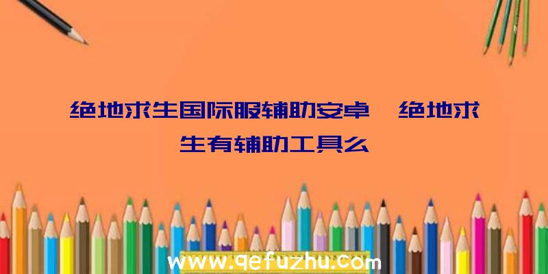 绝地求生国际服辅助安卓、绝地求生有辅助工具么