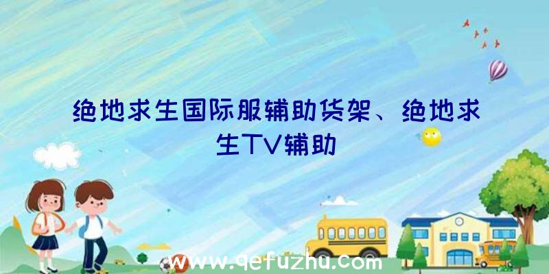 绝地求生国际服辅助货架、绝地求生TV辅助