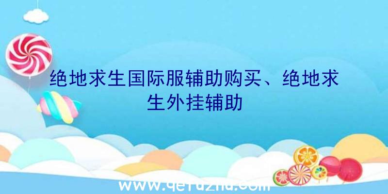 绝地求生国际服辅助购买、绝地求生外挂辅助