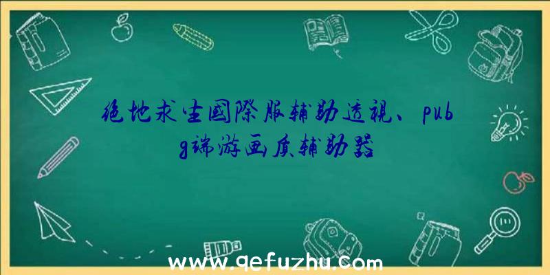 绝地求生国际服辅助透视、pubg端游画质辅助器