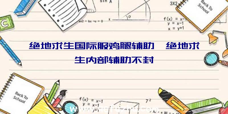 绝地求生国际服鸡腿辅助、绝地求生内部辅助不封