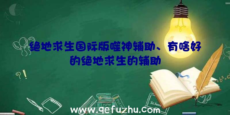 绝地求生国际版噬神辅助、有啥好的绝地求生的辅助