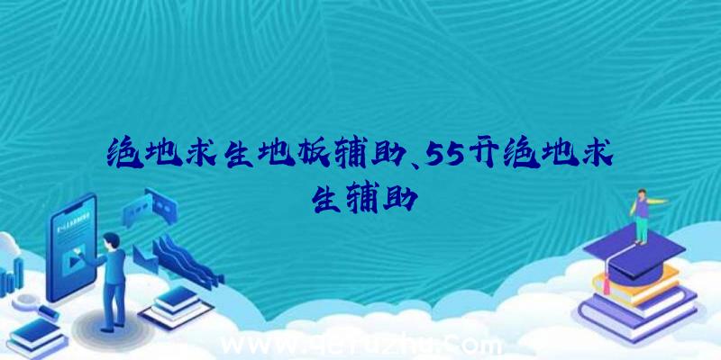 绝地求生地板辅助、55开绝地求生辅助