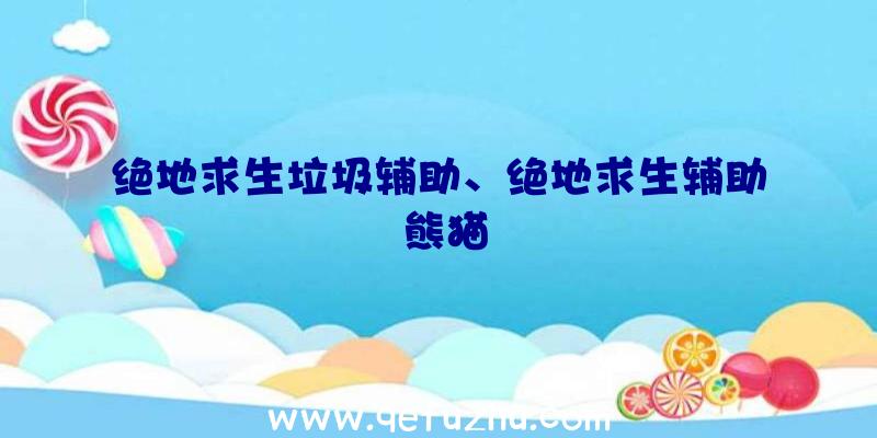 绝地求生垃圾辅助、绝地求生辅助