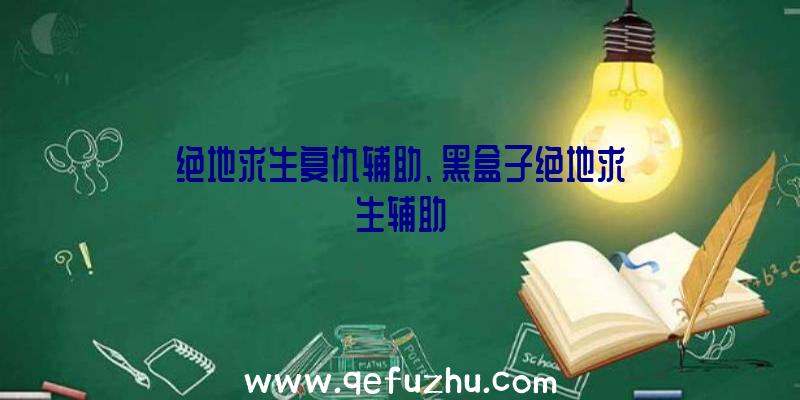 绝地求生复仇辅助、黑盒子绝地求生辅助