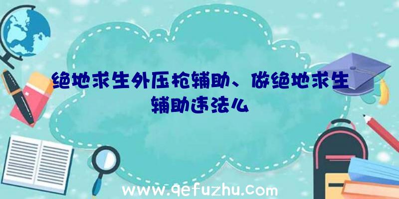 绝地求生外压枪辅助、做绝地求生辅助违法么