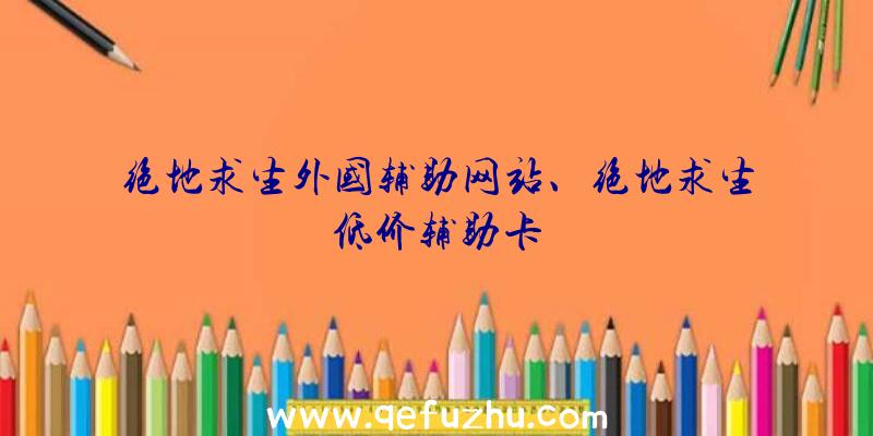 绝地求生外国辅助网站、绝地求生低价辅助卡
