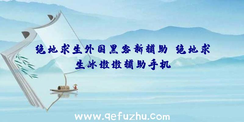 绝地求生外国黑客新辅助、绝地求生冰墩墩辅助手机