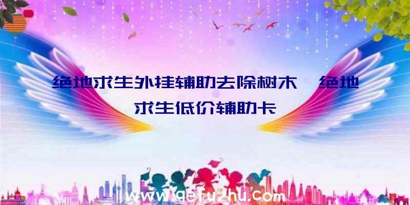 绝地求生外挂辅助去除树木、绝地求生低价辅助卡