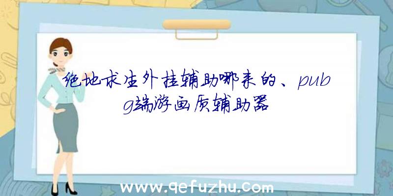 绝地求生外挂辅助哪来的、pubg端游画质辅助器