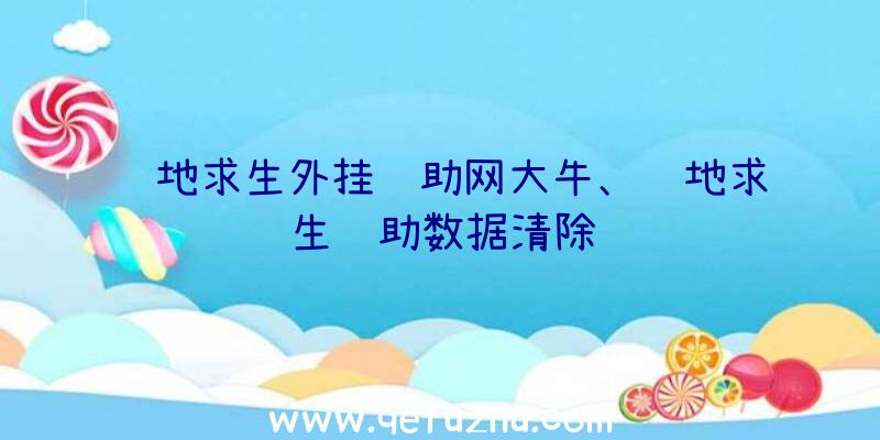 绝地求生外挂辅助网大牛、绝地求生辅助数据清除