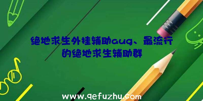 绝地求生外挂辅助aug、最流行的绝地求生辅助群