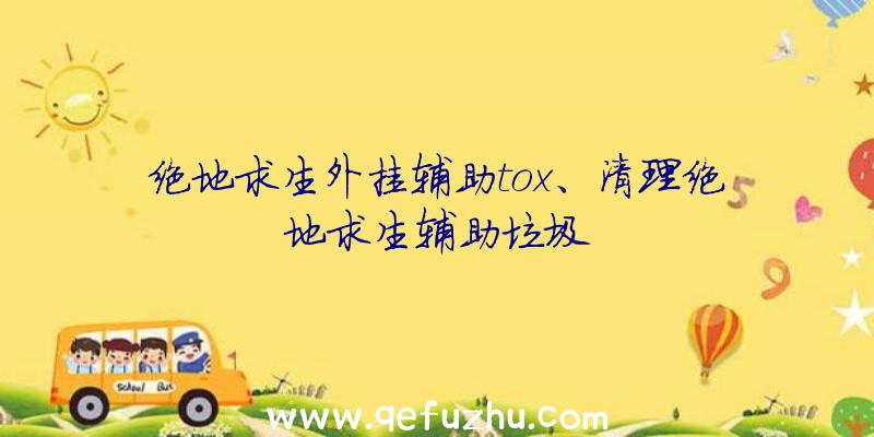 绝地求生外挂辅助tox、清理绝地求生辅助垃圾