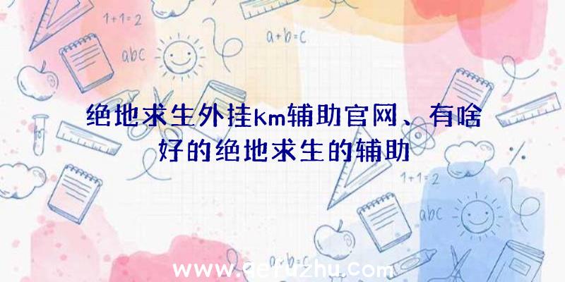 绝地求生外挂km辅助官网、有啥好的绝地求生的辅助