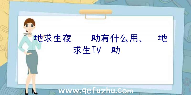 绝地求生夜视辅助有什么用、绝地求生TV辅助