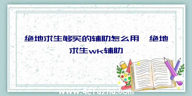 绝地求生够买的辅助怎么用、绝地求生wk辅助