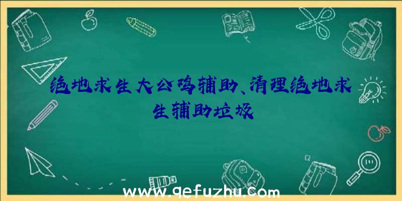 绝地求生大公鸡辅助、清理绝地求生辅助垃圾