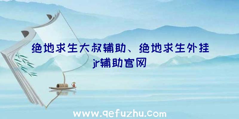 绝地求生大叔辅助、绝地求生外挂jr辅助官网