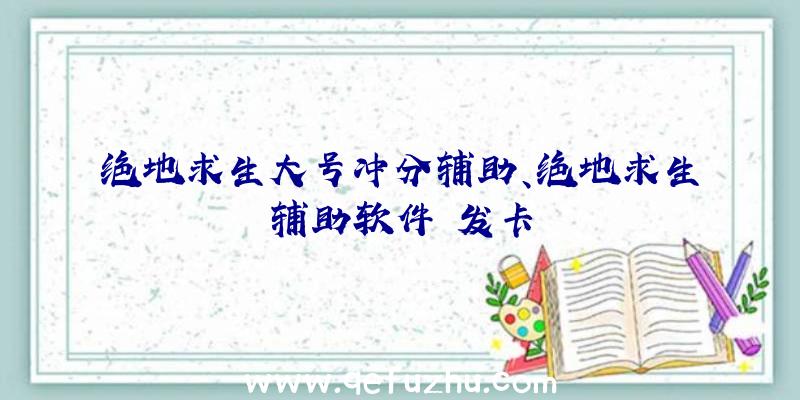 绝地求生大号冲分辅助、绝地求生辅助软件