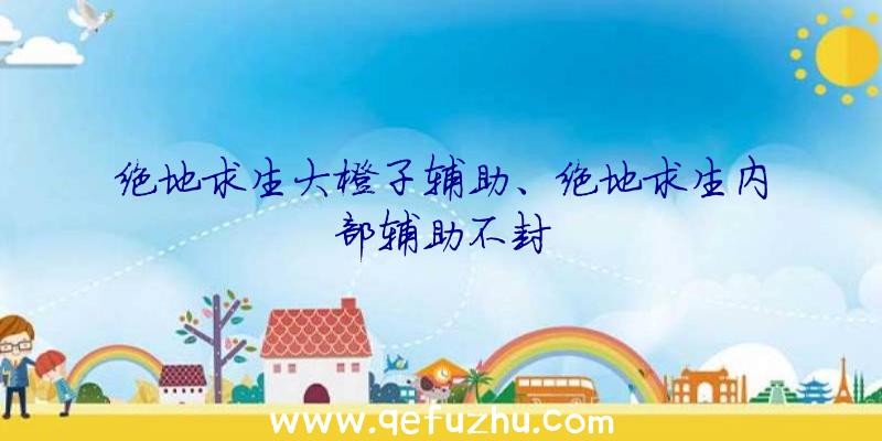 绝地求生大橙子辅助、绝地求生内部辅助不封