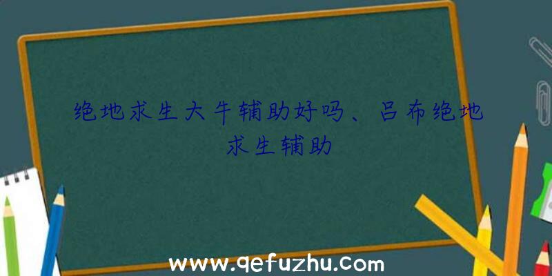 绝地求生大牛辅助好吗、吕布绝地求生辅助