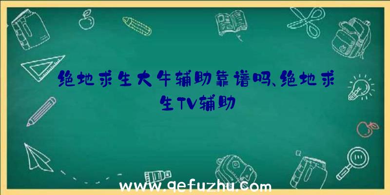 绝地求生大牛辅助靠谱吗、绝地求生TV辅助